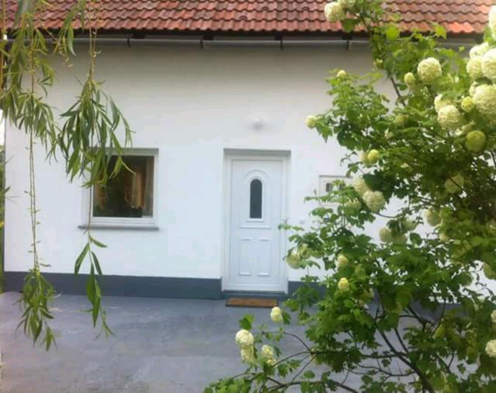 Guest House First Stop Rakovica Exterior foto